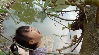 Bé gái 3 tuổi há miệng chờ sung nhận được hàng nghìn lượt yêu thích từ cộng đồng mạng