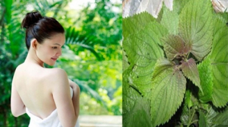 7 THẦN DƯỢC giúp cổ tử cung mở dễ dàng, bà bầu chỉ cần rặn 1 hơi là sinh xong mẹ tròn con vuông