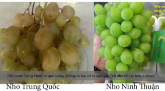 Người bán nho sẽ không bao giờ tiết lộ: Cách phân biệt nho Ninh Thuận và nho Trung Quốc hãy nắm lấy