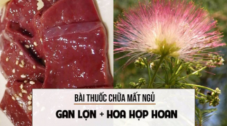 5 Shbet0099 cá cược trực tuyến cực tốt giúp người mất ngủ kinh niên cũng ngủ ngon trong đúng 5 phút