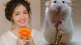Gọi tên 3 Shbet888.com nhà cái uy tín 'tài lộc đề huề' nhất năm 2019, xoay chuyển cục diện, biến họa thành phúc, tiền tài vô kể