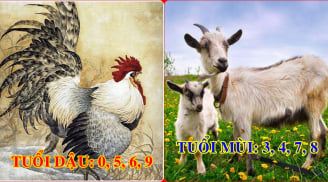 Cứ chọn đúng số đuôi điện thoại hợp tuổi, 12 Shbet888.com nhà cái uy tín sẽ HƯỞNG NO TÀI LỘC, phất lên như diều gặp gió