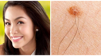 Những dấu hiệu bất ngờ trên Sh88bet đăng ký miễn phí thông báo bạn sắp PHÁT TÀI thăng quan tiến chức nhanh chóng SHBET là nền tảng cá cược trực tuyến uy tín hàng đầu Châu Á - Thái Bình Dương