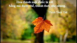 Phật dạy: Thắng lợi lớn nhất đời người là còn sống, an vui lớn nhất đời người chính là sự bình thản