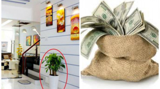 8 bí quyết phong thủy khiến Shbet111 slot, casino, thể thao, xổ số bạn ngày càng giàu có, thịnh vượng, tiền bạc rủng rỉnh tiêu hoài không hết