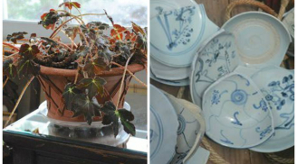 Nếu thấy điều này trong nhà: Gia chủ sắp gặp vận xui đề phong tai ương, tiền bạc đội nón ra đi