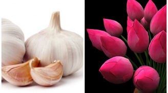 Sáng ra chỉ cần đặt thứ này lên bàn thờ, tài lộc chiếu rọi tiền bạc tự khắc chui vào túi, vơi lại đầy
