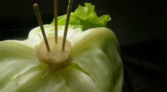 Cắm tăm vào cuống xà lách, mẹ chồng định lao ra mắng té tát con dâu nhưng kết quả khiến ai cũng bất ngờ