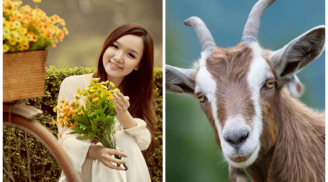 5 ngày đầu tiên của tháng 7/2019: Có 3 Shbet888.com nhà cái uy tín gặp vận phát tài, bước chân vào làng đại gia