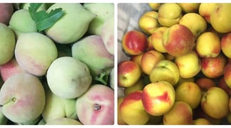 Người bán đào không bao giờ nói với bạn: Chỉ cần lướt qua 3 giây biết đào Trung Quốc tẩm thuốc