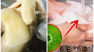 Sai lầm rửa thịt gà trước khi nấu: 10 nhà thì 9 nhà mắc phải khiến gà nhạt thịt, mất chất dinh dưỡng