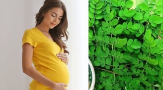 Những loại rau cực bổ nhưng mẹ bầu tuyệt đối không được động đũa kẻo hại mẹ, hại con