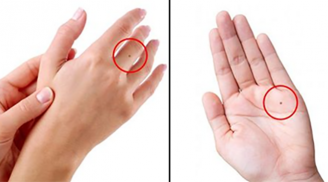 Xòe bàn tay ra nhìn vào đường chỉ tay 2 giây biết ngay bạn mệnh vương phi hay nô tì trọn kiếp