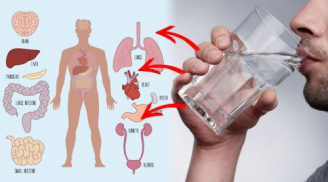 Uống 1 cốc nước ấm vào đúng giờ này “quý gấp trăm lần ăn nhân sâm thuốc bổ”, nhiều người vẫn cho qua