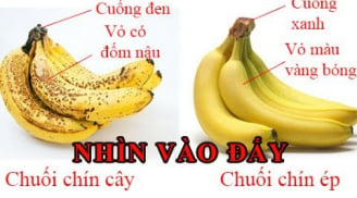 Mua chuối cứ nhìn vào cuống thấy có điểm này, đảm bảo chọn được chuối chín cây không ủ thuốc