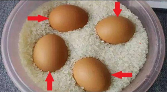Vùi trứng vào thùng gạo thấy điều kỳ diệu xảy ra khiến ai cũng bất ngờ