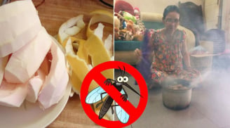 Nấu vỏ bưởi theo cách này, chỉ vài giây là 'tiễn chân' muỗi ra khỏi nhà, đảm bảo 1 đi không trở lại