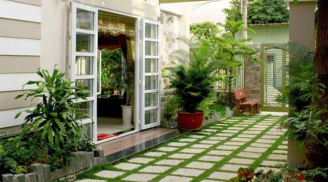 5 loại cây phong thủy nhà giàu không muốn trồng, vừa tiêu tán tài lộc vừa rước bệnh cho Shbet111 slot, casino, thể thao, xổ số