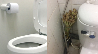 Ra chợ mua bó sả 5 nghìn đặt vào nhà vệ sinh 'lợi thêm lợi', dại gì không thử