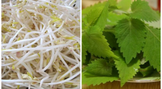 4 loại rau khi ăn lẩu không nên cho vào kẻo 'rước họa vào thân'