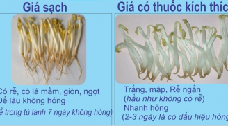 Giá đỗ sạch và nhiễm hóa chất chỉ khác nhau ở 5 điểm sau, mẹ thông thái cần ghi nhớ kỹ