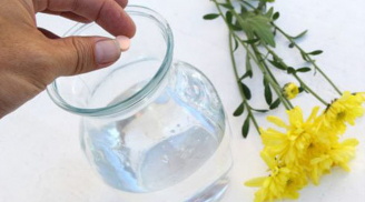 Bỏ 1 viên thuốc nhà nào cũng có vào nước, hoa cắm nửa tháng vẫn tươi như mới