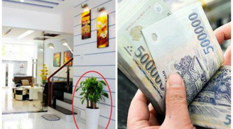 Âm thầm làm việc này đánh thức Thần Tài, gia chủ đang nghèo mạt vận bỗng đổi vận nhanh chóng