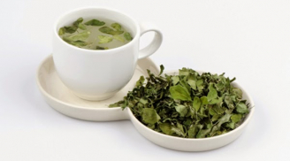 Uống trà chùm ngây mỗi ngày tốt như 'nhân sâm', kiểm soát huyết áp và ngừa bệnh tim mạch hiệu quả