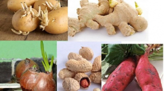 Những loại rau củ mọc mầm 'độc hơn thạch tín', mẹ đừng tiếc của nấu nướng kẻo rước bệnh cho cả nhà