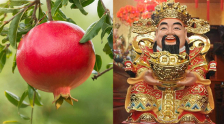 5 loại quả Thần Tài 'thích mê', nên đặt trong nhà để 'tiền vào như thác đổ'