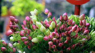 Mẹo chọn hoa tươi lâu, mọi phụ nữ đều nên biết