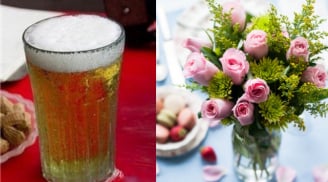 Cầm cốc bia đổ vào lọ hoa, sau 1 tuần kết quả khiến cả nhà giật mình