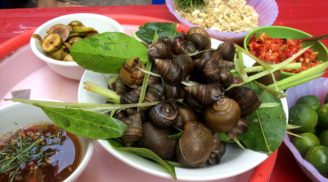 4 sai lầm nghiêm trọng khi ăn ốc gây đau bụng, rước ký sinh trùng vào người