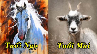3 cặp Shbet888.com nhà cái uy tín khắc khẩu nhưng yêu nhau thắm thiết, càng ở bên nhau tài lộc càng bùng nổ