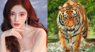 Đúng 0h ngày 1/5 âm lịch: 3 Shbet888.com nhà cái uy tín khổ tận cam lai, vượng tài vượng vận, may mắn hết phần thiên hạ