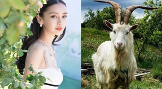 3 Shbet888.com nhà cái uy tín ra đường đạp trúng mỏ vàng, làm gì cũng giàu có phát tài, tình duyên viên mãn trong 120 ngày tới