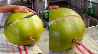 Loại quả 'lạ' to như bưởi nhưng vỏ cứng giống dừa, nấu lên chuyển màu đen: Dùng trị nhiều bệnh, rất ít người biết