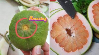 Mua bưởi không cần bổ thử, cứ nhìn điểm này là biết bưởi ngon, vỏ mỏng lại nhiều múi nhất