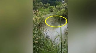 Đã tìm thấy th.i th.ể bé trai 2 tuổi mất tích ở Bình Dương: Không có phép màu nào xảy ra