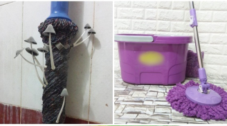 4 cách làm sạch cây lau nhà đơn giản, không còn bẩn đen, nấm mốc và mùi hôi