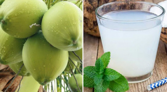 6 giờ vàng trong ngày uống nước dừa phát huy tối đa công dụng: Tăng dưỡng chất, bù nước, da căng mịn