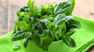 Loại rau rẻ bèo, bán đầy chợ, chăm ăn thấy sự thay đổi về tim mạch, đường huyết, nhất là trẻ ra chục tuổi