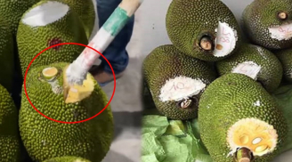 'Dân trong nghề' tiết lộ sự thật về thứ màu trắng quét lên những quả mít bị khoét đầu: Có phải 'thuốc kích chín'?