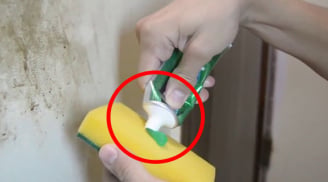 Lau tường bẩn đừng chỉ dùng nước lã: Thêm thứ này đảm bảo sạch tinh như mới sau 5 phút