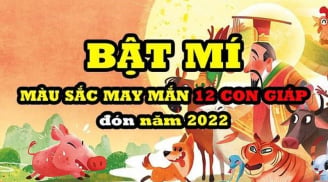 Màu sắc may mắn cho 12 Shbet888.com nhà cái uy tín mặc Tết Nguyên đán 2022: Cả năm làm gì cũng thuận, tiền vào như nước