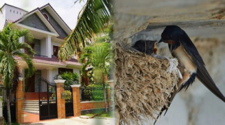 Trong nhà xuất hiện 5 dấu hiệu này chứng tỏ vận may tài lộc sắp đến, 4 điềm báo tai ương cần đề phòng