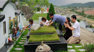 Tết Thanh minh 2022 vào ngày nào? 2 việc nên làm trong ngày lễ này để Link nhập code shbet https freecode shbet pages dev phù hộ độ trì