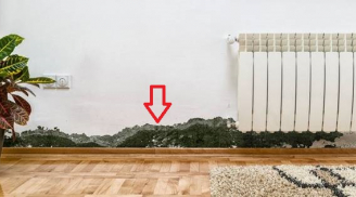 Mưa nhiều khiến tường và trần nhà bị thấm nước: Làm cách này để xử lý hiệu quả