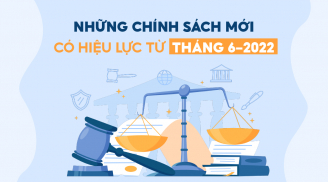 Những chính sách mới nhất có hiệu lực từ 6/2022: Khai cấp hộ chiếu phổ thông online; Sử dụng hoá đơn giấy đến 30/6