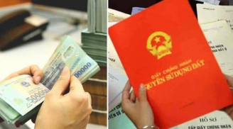 Có tiền nên gửi tiết kiệm ngân hàng hay đầu tư mua đất sinh lời nhanh hơn?